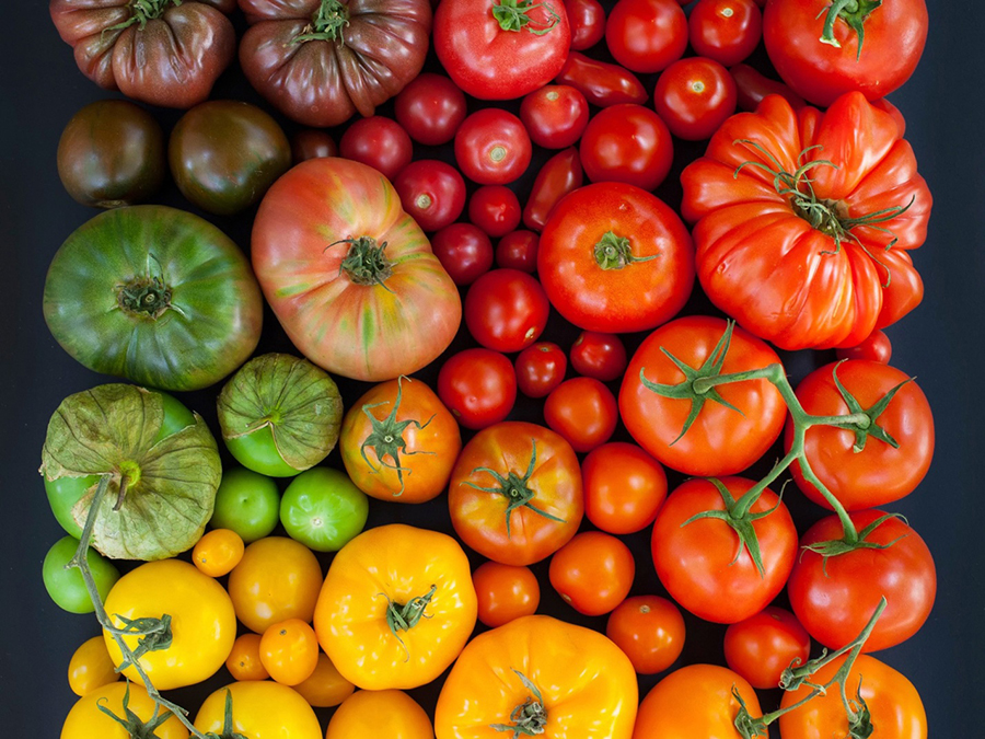 Tomatoes sorta