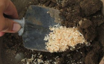 Use of sawdust