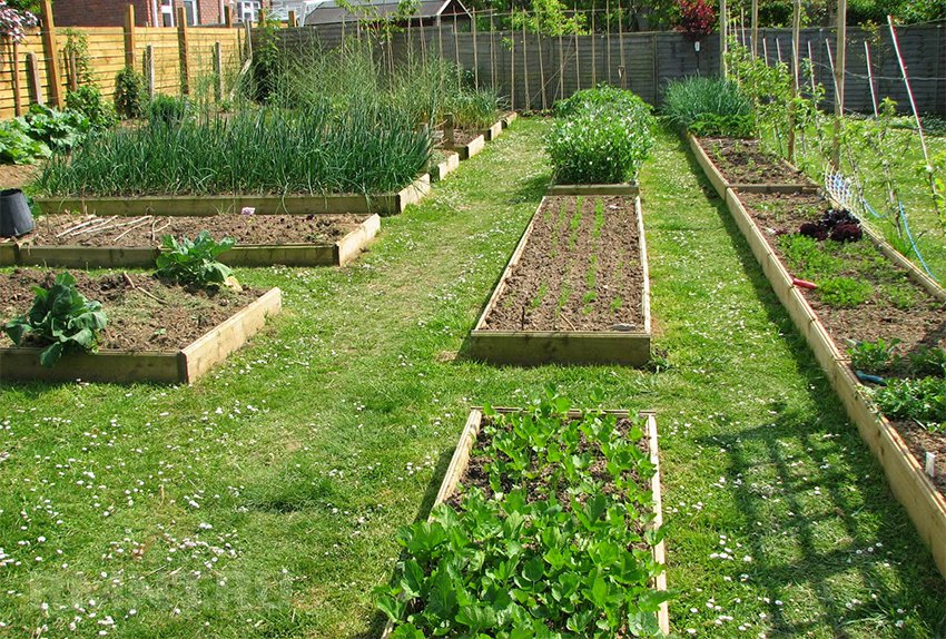 Garden Planning