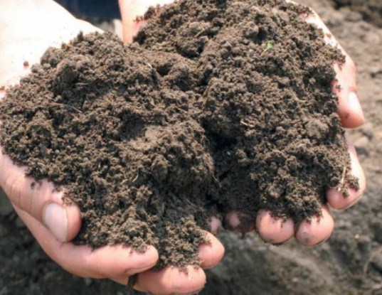 soil acidity