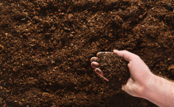 fertile soil