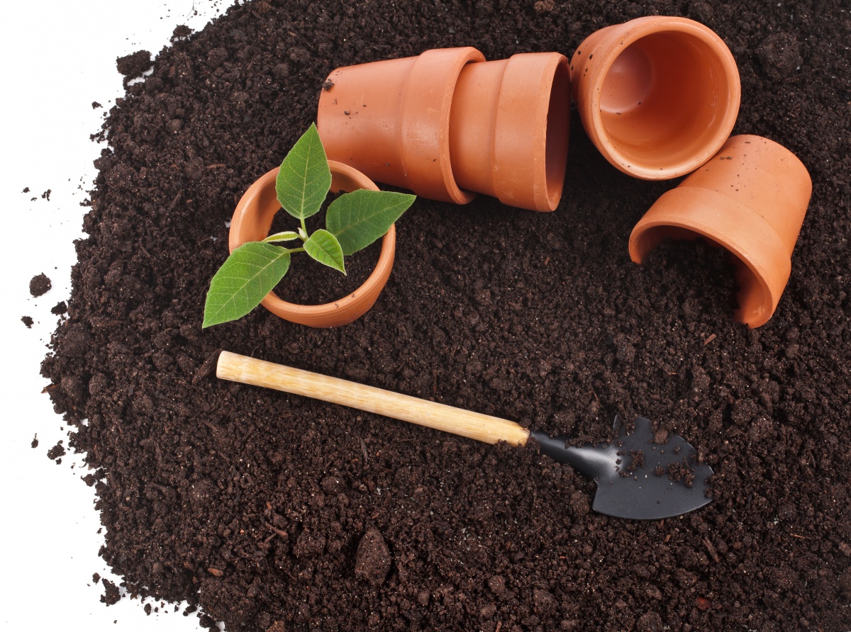 Soil for seedlings