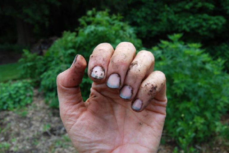 the ground huddled under the nails